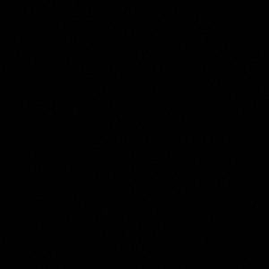 Meet your Posher, Brooklyn